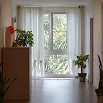 Asterias - &